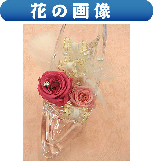 Ԃ̉摜