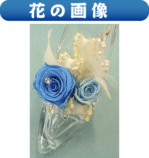 Ԃ̉摜