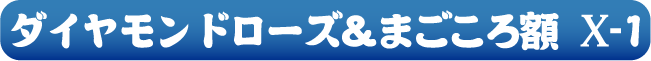 ダイヤモンドローズ&まごころ額 x-1
