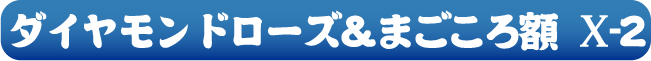 ダイヤモンドローズ&まごころ額 x-2